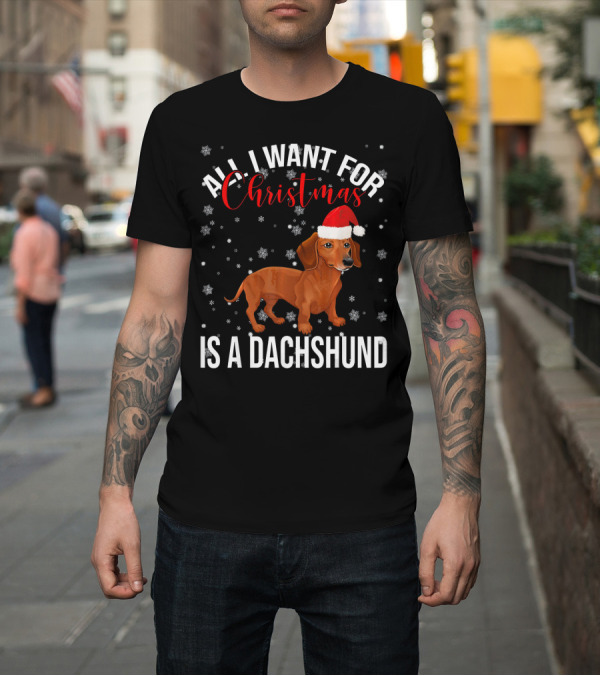 Shirt: All I Want for Christmas is a Dachshund Santa Hat Snowflakes T-Shirt All I Want for Christmas is a Dachshund Santa Hat Snowflakes T-Shirt