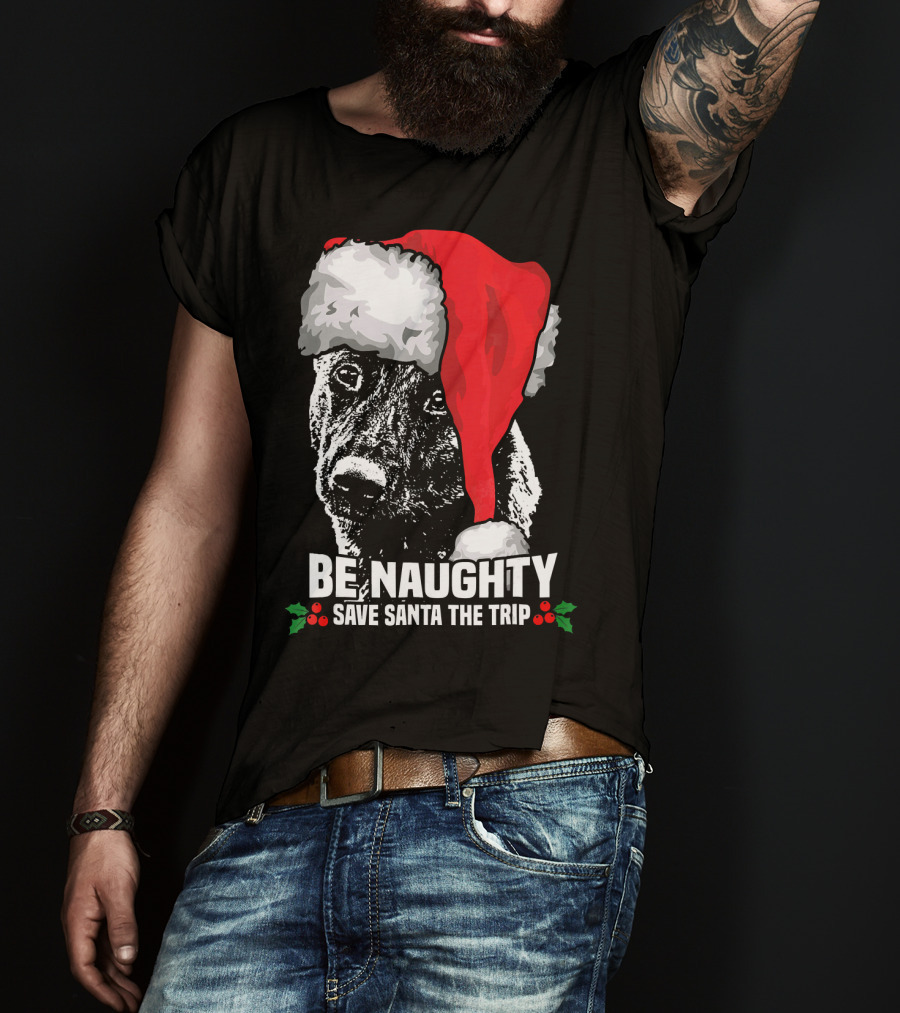 Be Naughty Save Santa The Trip Dutch Shepherd Christmas Santa Hat T-Shirt