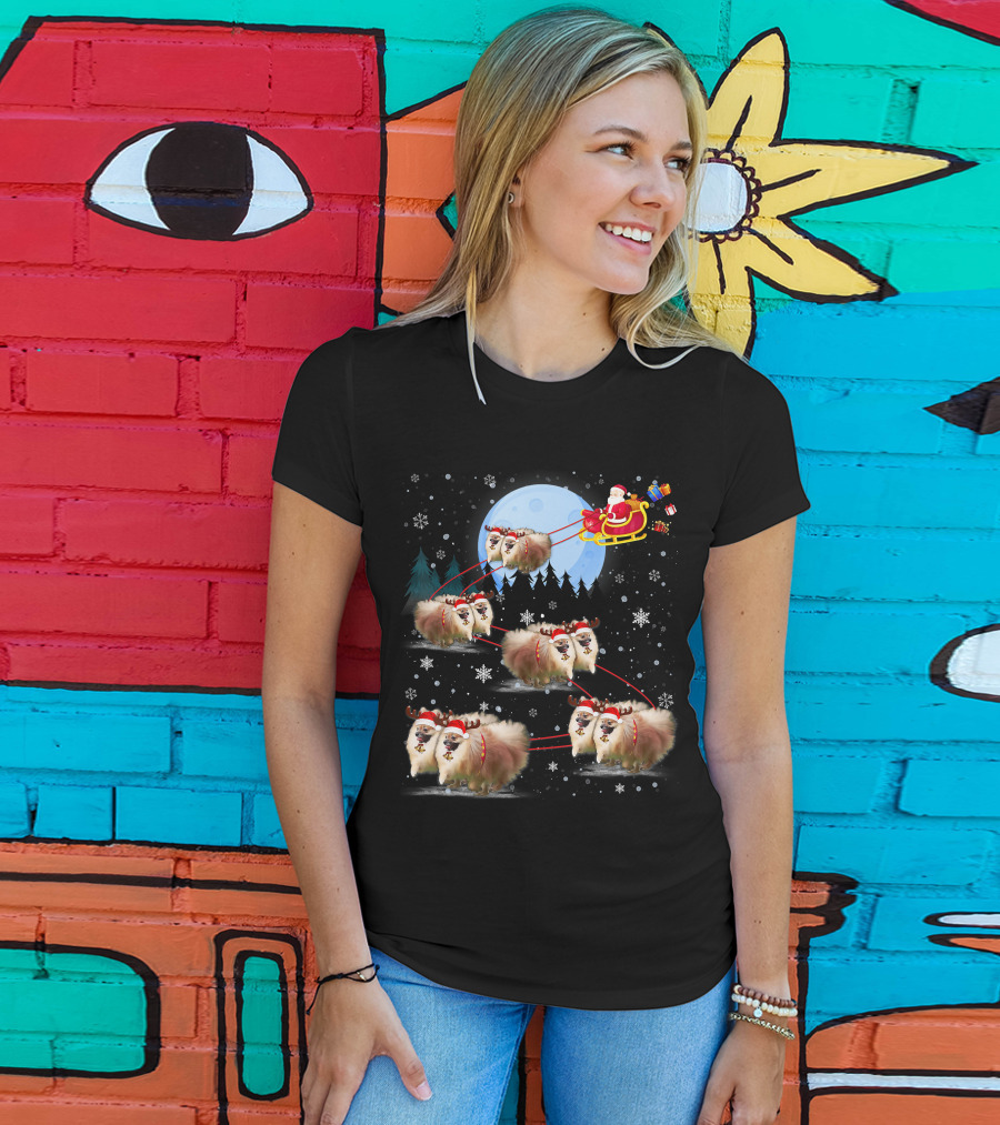 Pomeranian Reindeer Santa Sleigh Christmas Under Moonlight T-Shirt