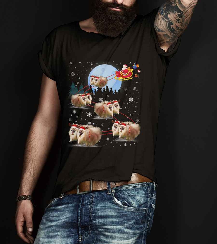 Pomeranian Reindeer Santa Sleigh Christmas Under Moonlight T-Shirt