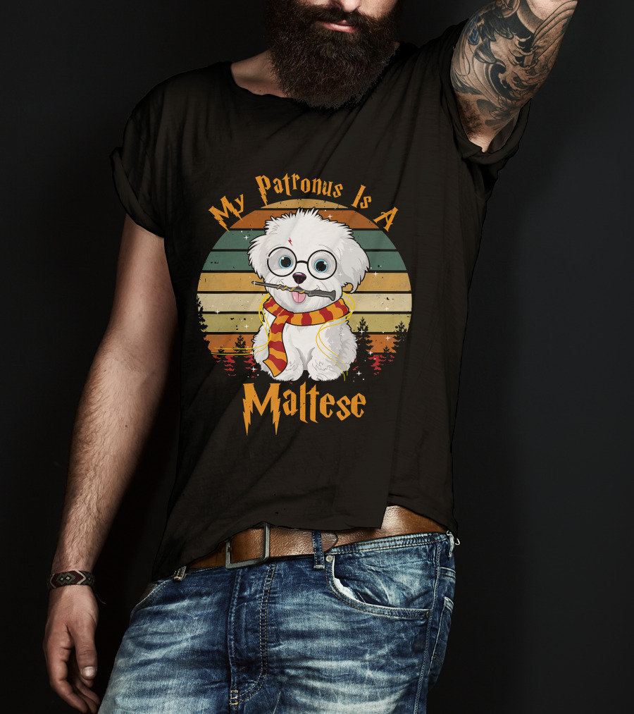 My Patronus Is A Maltese Dog With Wizard Glasses And Scarf In Colorful Circle T-Shirt